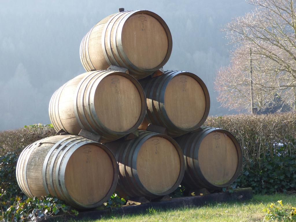 Relaxen Im Alten Winzerhaus Fewo Og Rech Ngoại thất bức ảnh