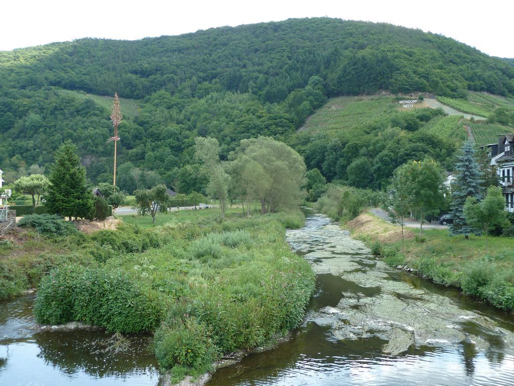 Relaxen Im Alten Winzerhaus Fewo Og Rech Ngoại thất bức ảnh